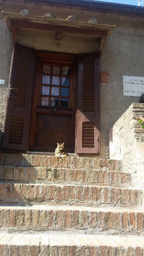 Torre Rossa Appartement Bolgheri Buitenkant foto